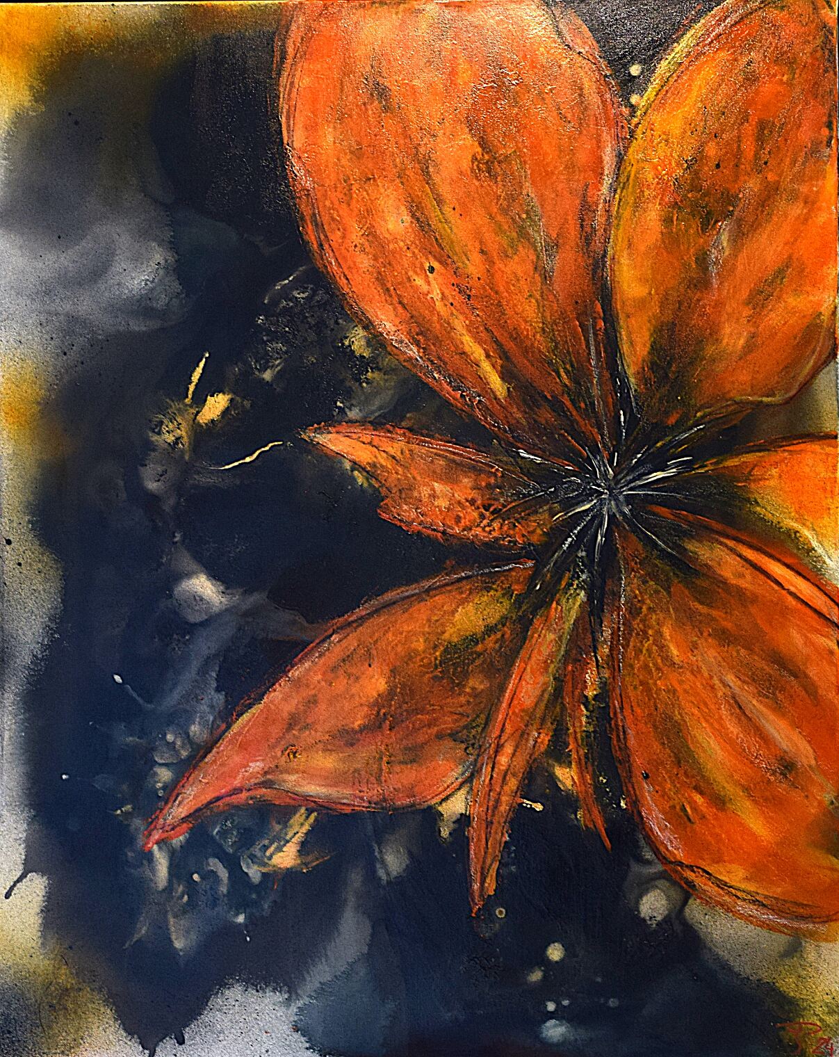 Feuerblume 